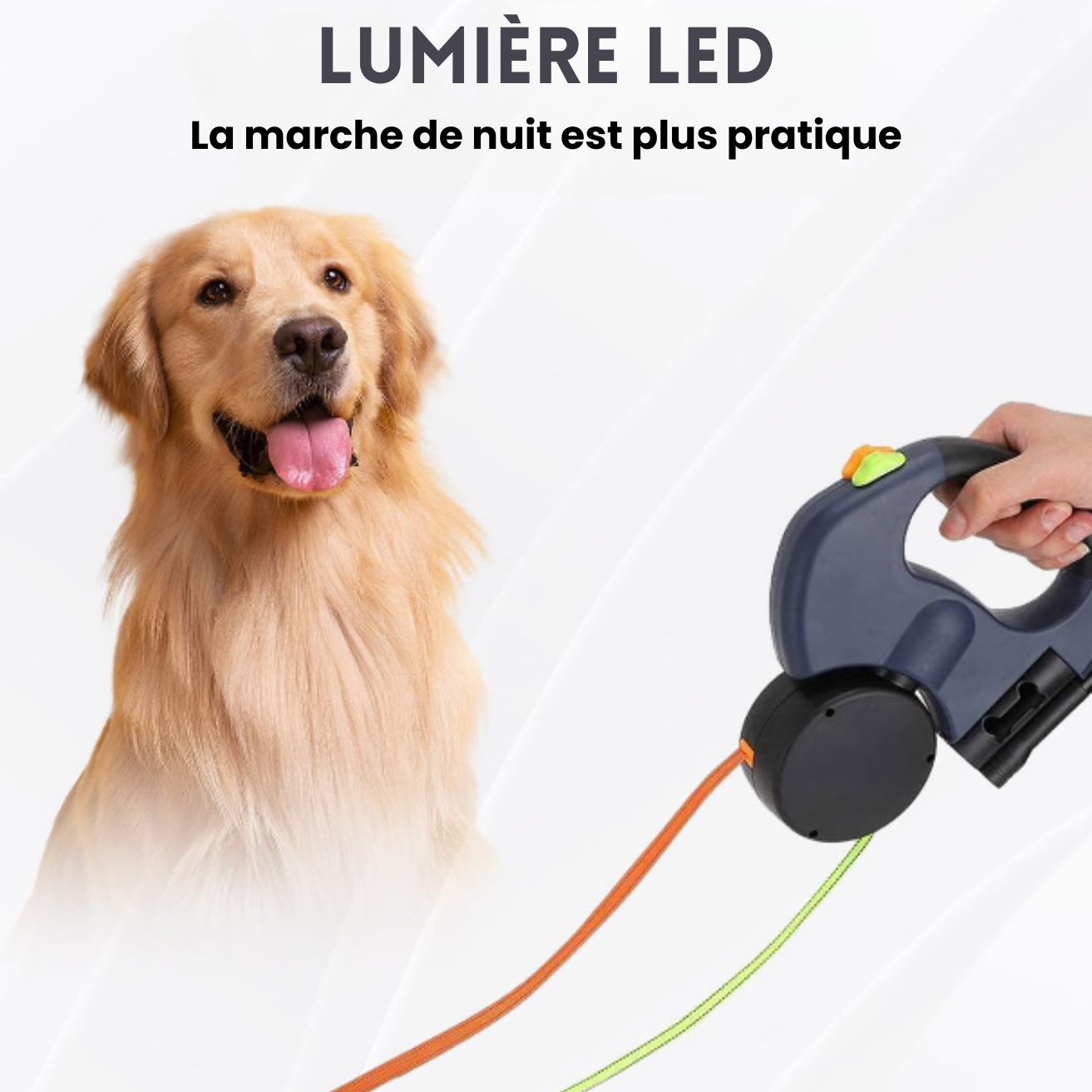 FlexiPattes™ - Laisse ergonomique pour deux chiens